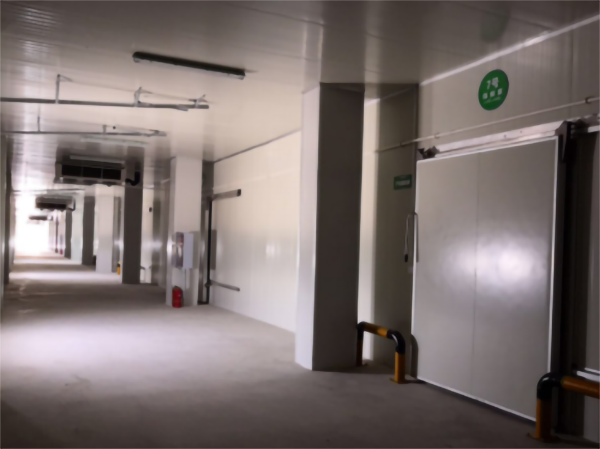 食品公司內建造一個1000平包子、水餃速凍冷庫費用是多少？