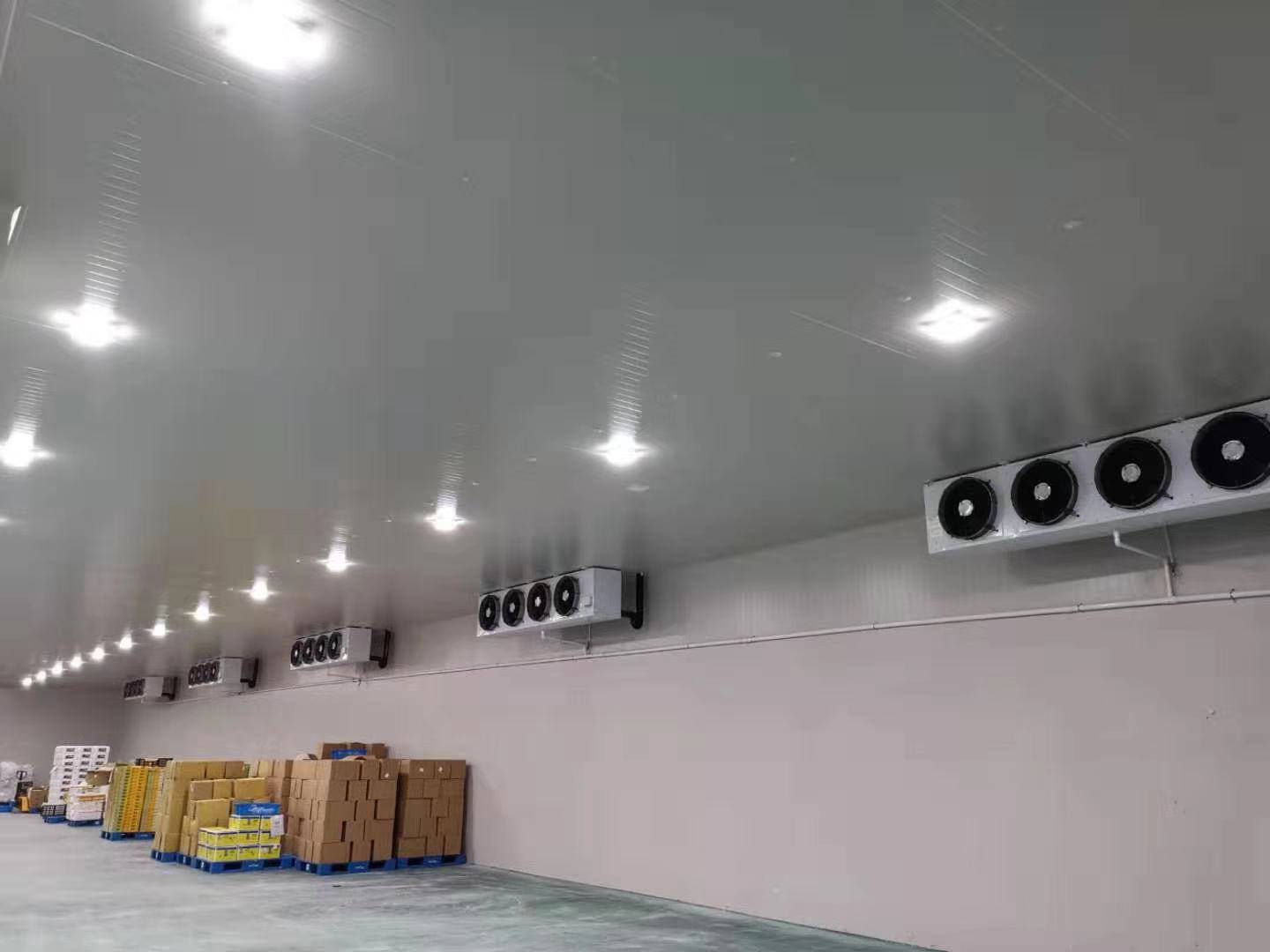 城市周邊建造一個(gè)8800平生鮮電商冷庫設(shè)計(jì)安裝費(fèi)用？