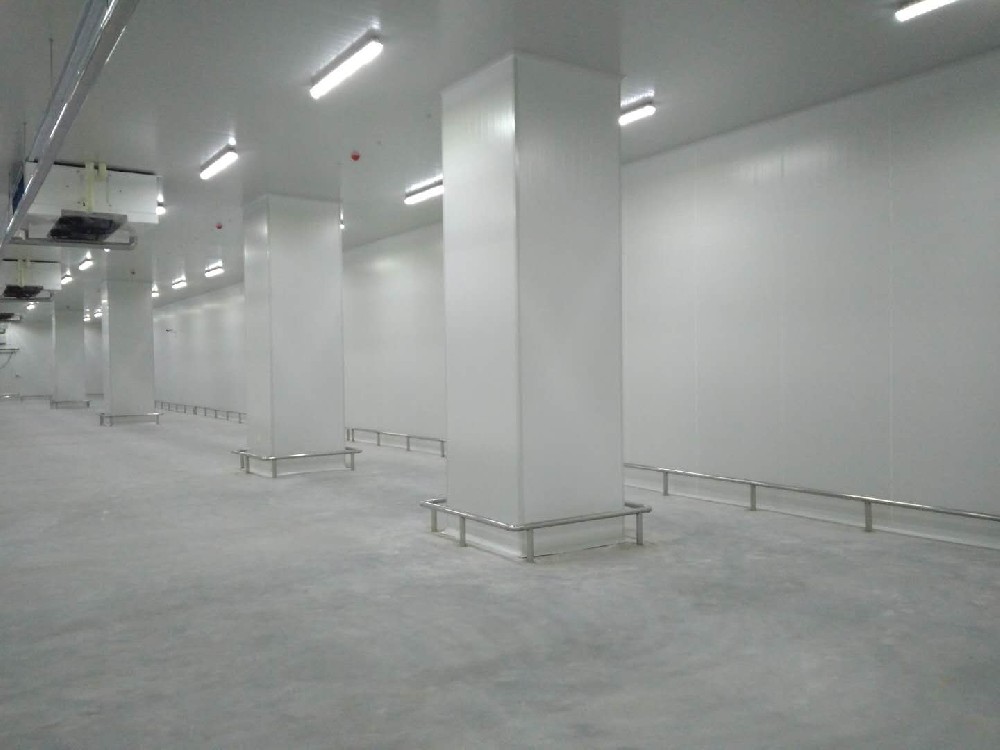 建造200噸的肉類冷鏈冷凍庫如何做好規劃設計？