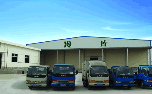 裝配式冷庫建造發(fā)展，冷庫建造的好處