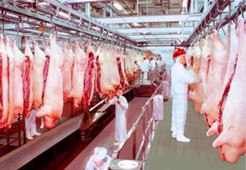 天貓超市電商冷庫建造、運營