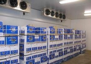 水果櫻桃冷庫(kù)安裝設(shè)計(jì)冷庫(kù)保鮮技術(shù)