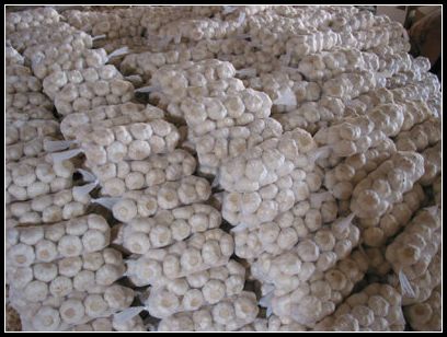 大蒜保鮮冷庫設計，冷庫安裝要求