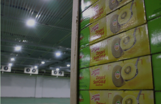 瓜果氣調保鮮庫，保鮮庫安裝造價