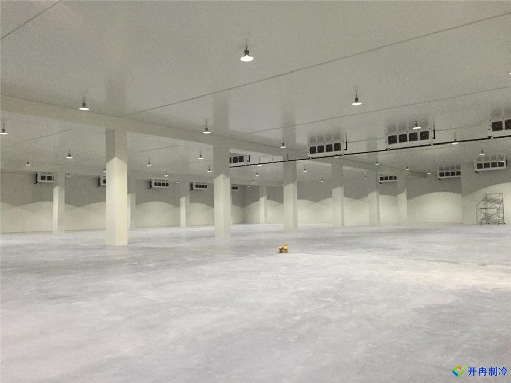 上海建500平米冷凍庫，冷庫造價(jià)成本多少錢