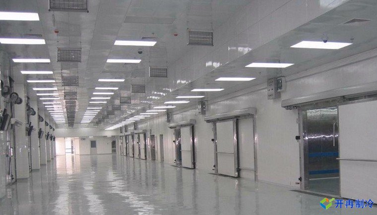 500噸茄子保鮮冷庫(kù)造價(jià)多少，貯藏保鮮技術(shù)