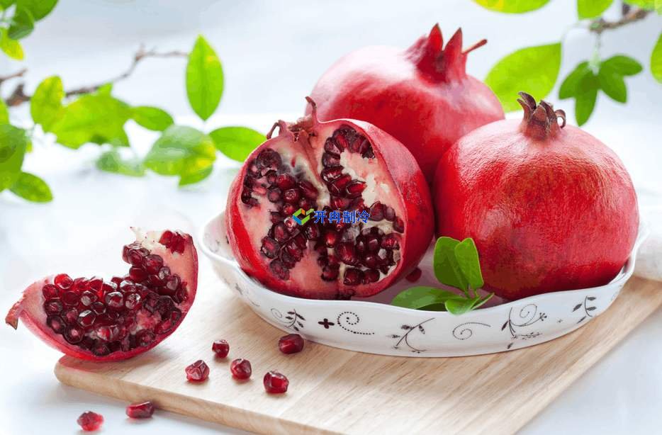 石榴冷藏庫儲存方法及安裝工程造價是多少錢？